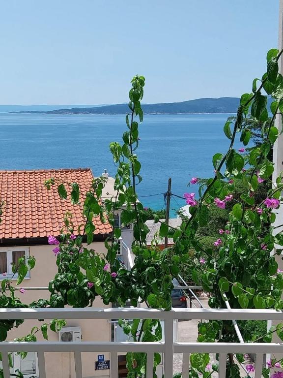 Příroda nedaleko apartmánu