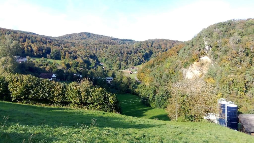 Příroda nedaleko apartmánu