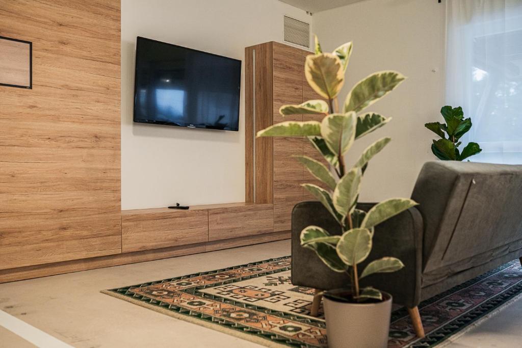 TV a/nebo společenská místnost v ubytování Dream Factory Melk - Green Hostel