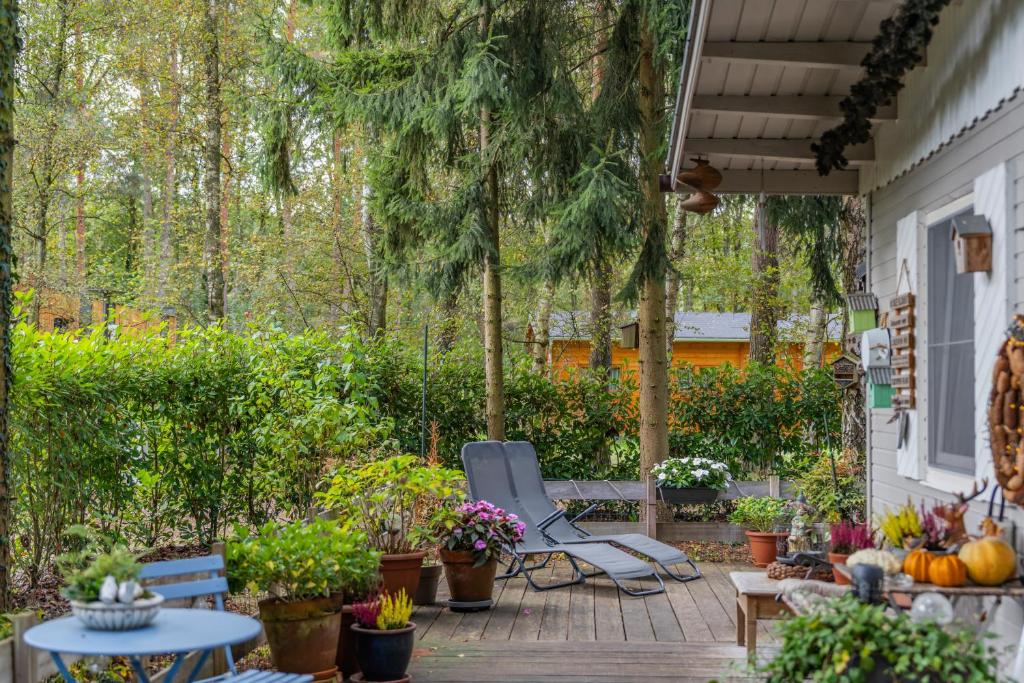 Zahrada ubytování Chalet Luxe