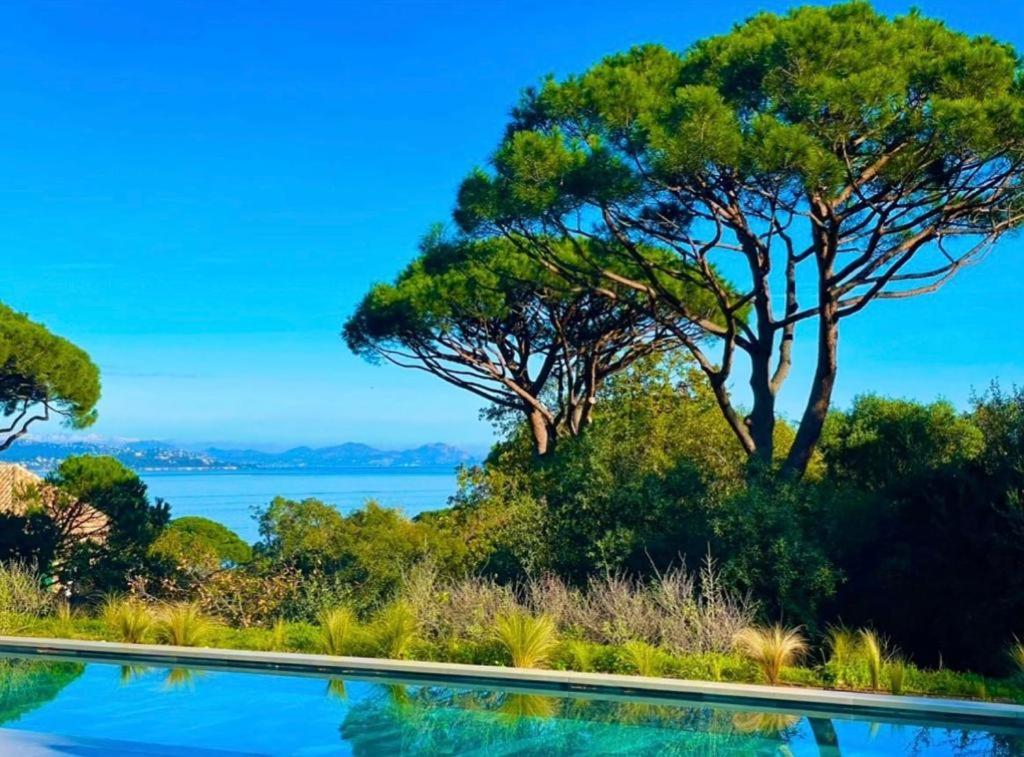 une piscine avec des arbres et de l'eau en arrière-plan dans l'établissement Villa Régina, à Saint-Tropez