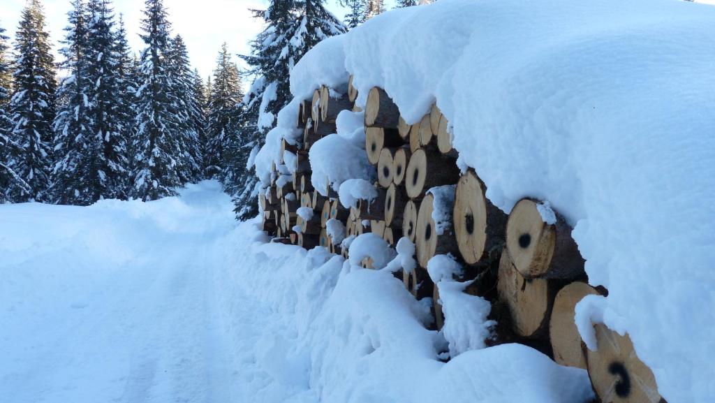 Ferienhaus Schäfer - Apartments - Wintersports - Family holiday - Holiday with your dog - Rural & Scenic during the winter