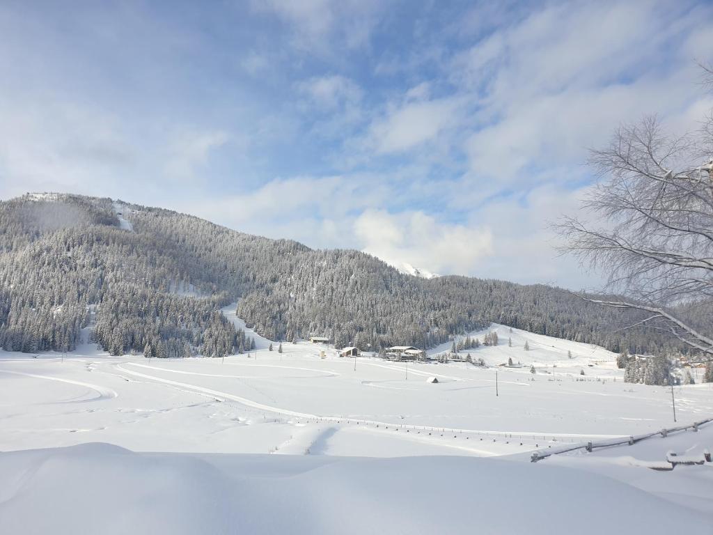 Ferienhaus Schäfer - Apartments - Wintersports - Family holiday - Holiday with your dog - Rural & Scenic during the winter