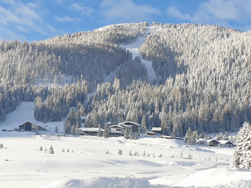 Ferienhaus Schäfer - Apartments - Wintersports - Family holiday - Holiday with your dog - Rural & Scenic during the winter