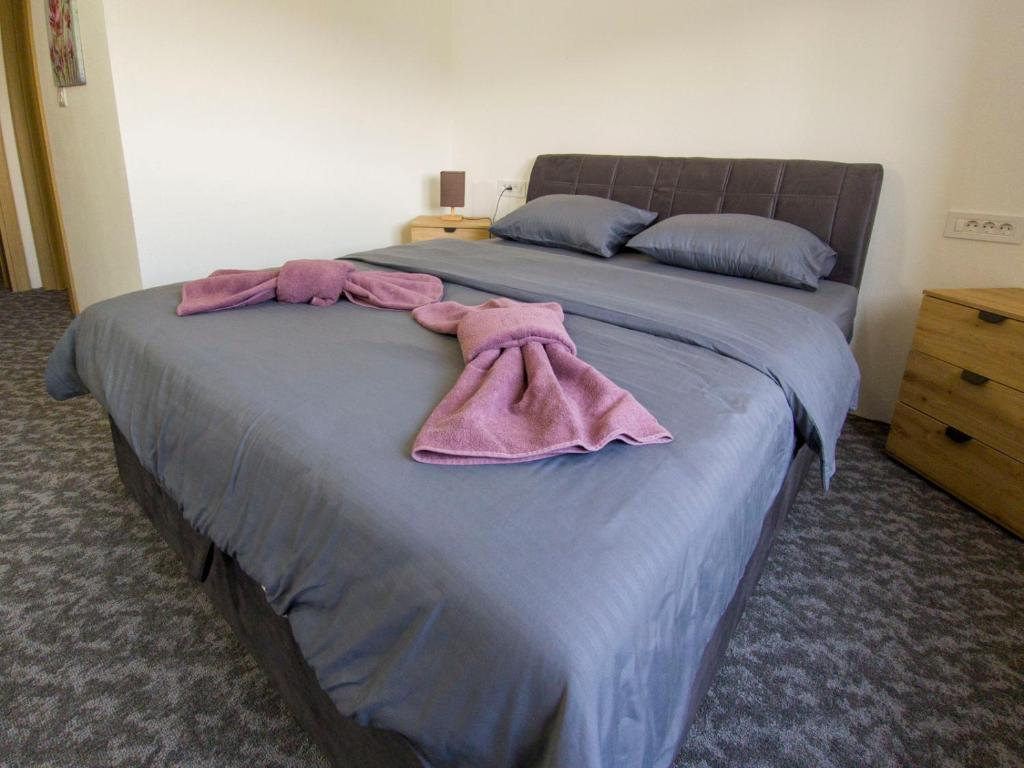Motel Anić - Deluxe Double Room