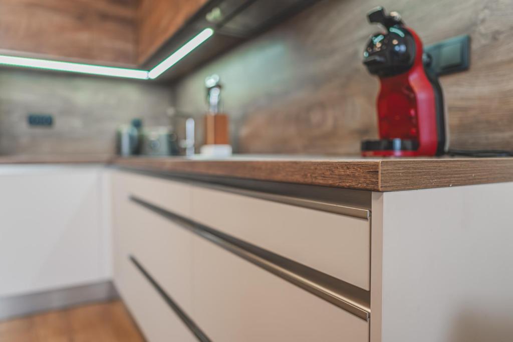 Kuchyň nebo kuchyňský kout v ubytování Luxusní Apartmán U Petrofa s vlastním parkovacím místem