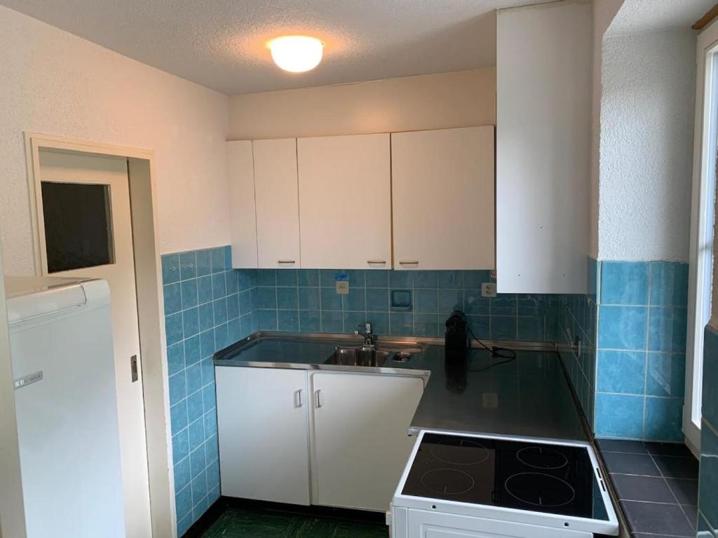 Kuchyň nebo kuchyňský kout v ubytování Revier schlicht und bahnsinnig