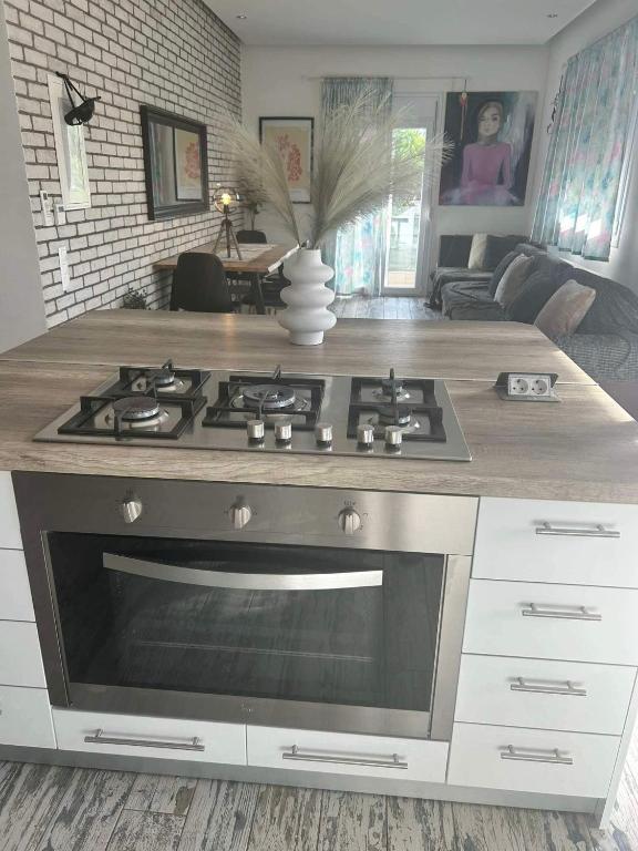 Kuchyň nebo kuchyňský kout v ubytování Flat in Makrygialos