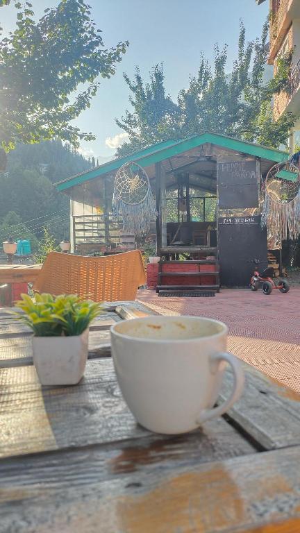 Fotografie z fotogalerie ubytování Hippie Panda Hostel v destinaci Manāli