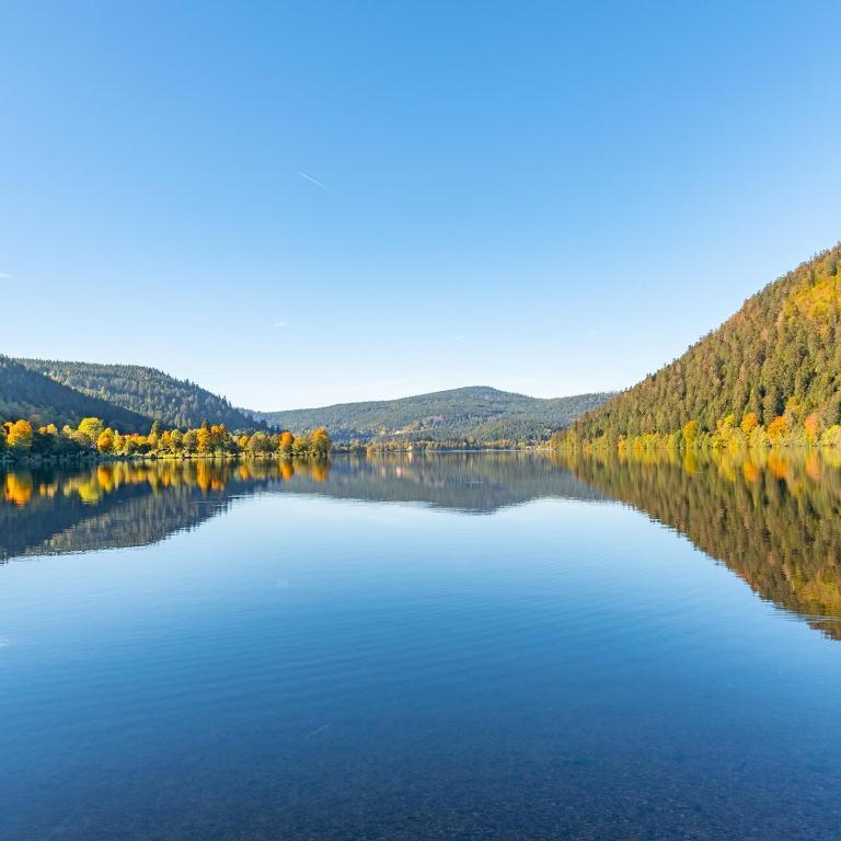 Fotografia z galérie ubytovania Gîte du Lac Gérardmer Duplex vue lac 180 avec piscine v destinácii Gérardmer