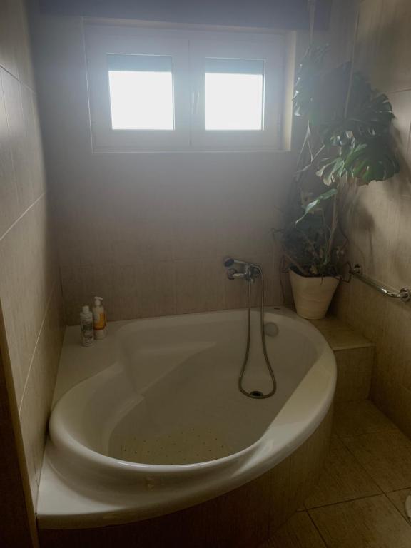 Koupelna v ubytování Alojamento Local Casa Veras