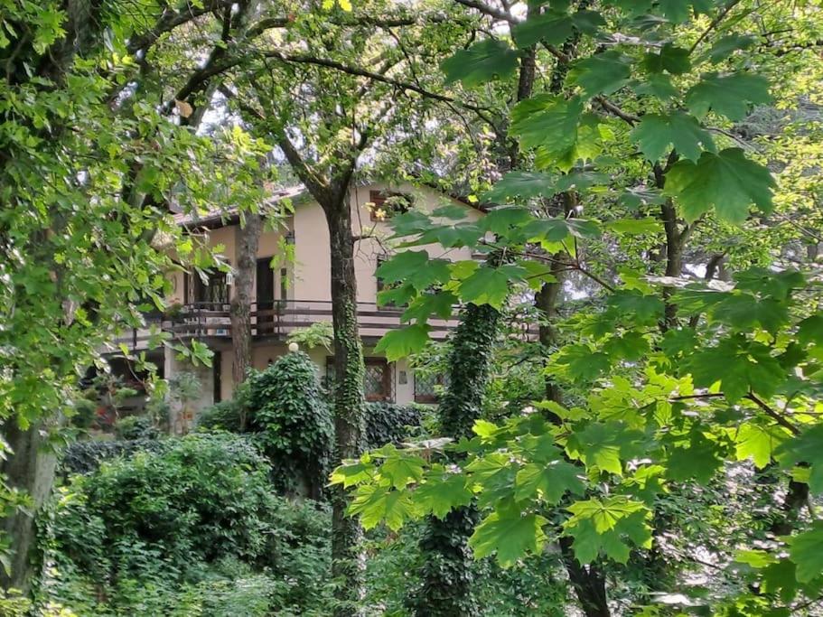 a house seen through the trees at LA BARCA NEL FRUTTETO Natura e relax in collina in Lagune