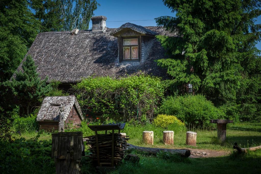 Vonkajšia záhrada v ubytovaní Dom na Podlasiu
