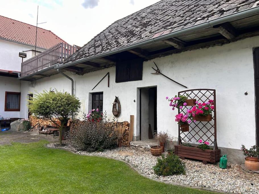 Zahrada ubytování Apartmán u Poustevníka