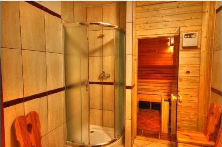 Bathroom with glass shower enclosure and wooden sauna door.