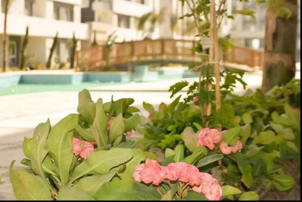 Zahrada ubytování Fanadir bay resort