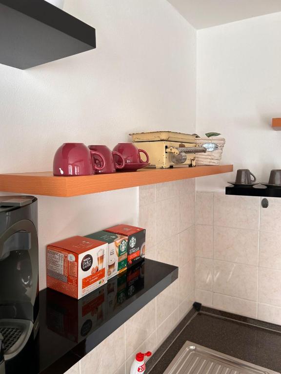 Kuchyň nebo kuchyňský kout v ubytování Apartmán u Poustevníka