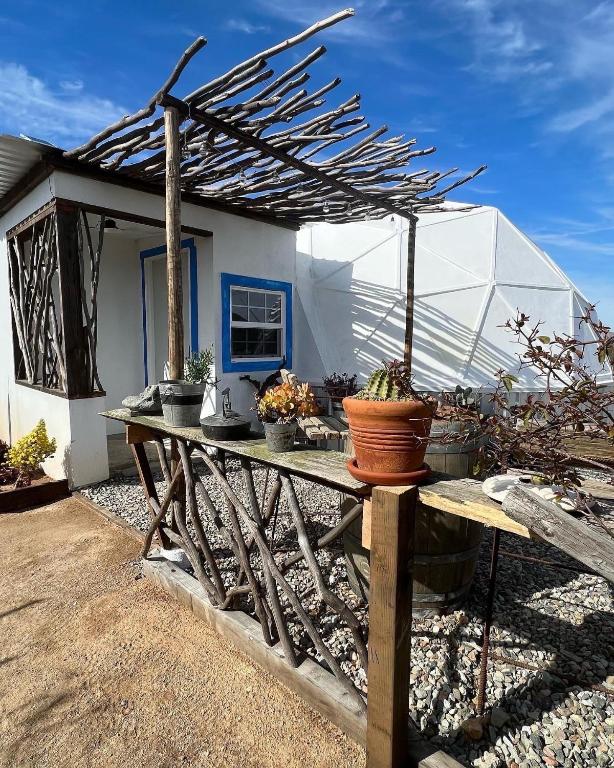 a wooden table with potted plants on top of it at Santerra, Valle de Guadalupe in Valle de Guadalupe