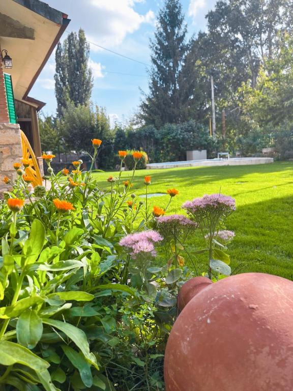 A garden outside Casa Rural El Edén del Ungría
