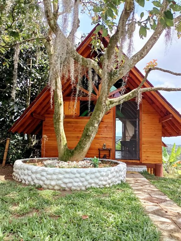 a tree in front of a log cabin at Hotel Cabañas Del Quindio in Filandia