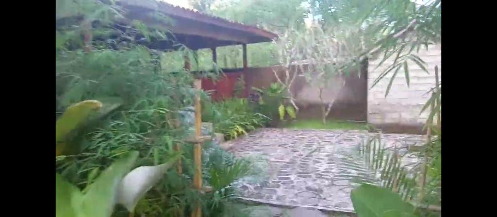 Zahrada ubytování HENDRO'S SURF CAMP Pulau merah
