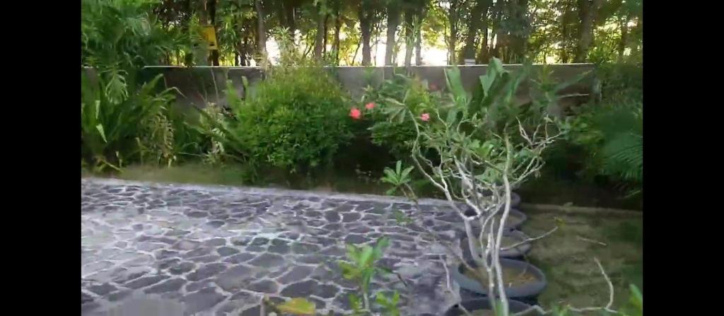 Zahrada ubytování HENDRO'S SURF CAMP Pulau merah