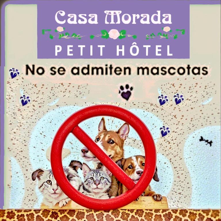 Certifikát, hodnocení, plakát nebo jiný dokument vystavený v ubytování Casa Morada