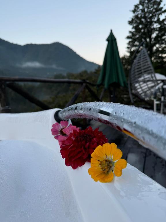Nespecifikovaný výhled na hory nebo výhled na hory při pohledu z luxury tent