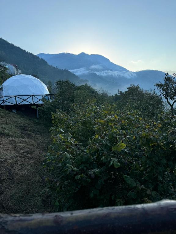 Příroda nedaleko luxury tent