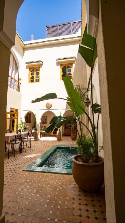 Riad Saadaoui — photo 2