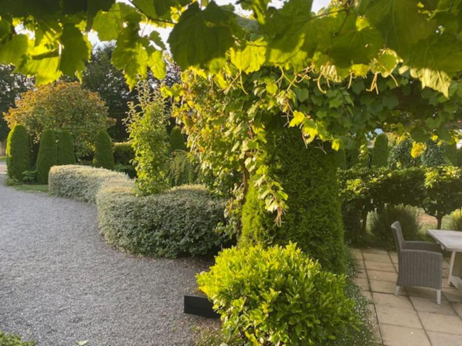 Kew Cottage - Resim 18