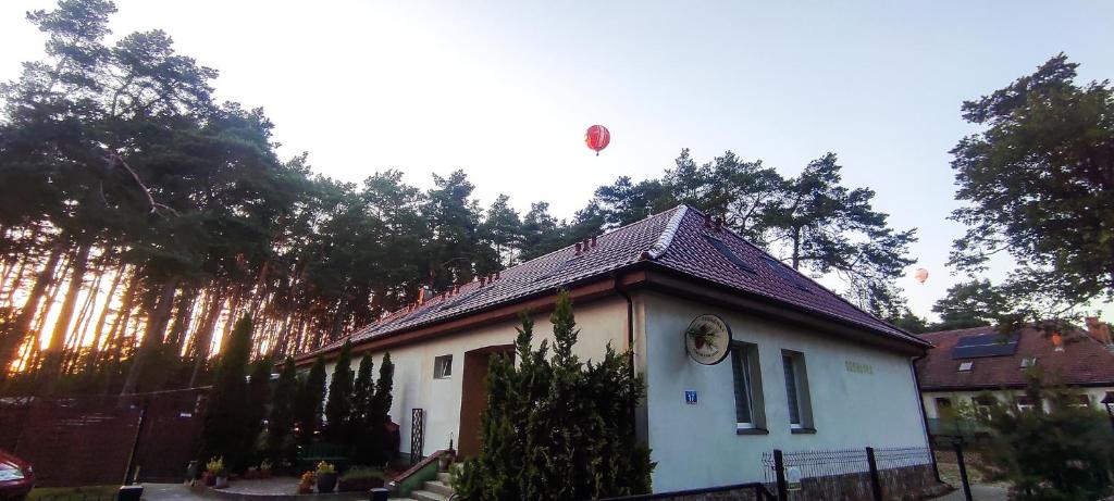Sosnówka Pokoje Gościnne - 双人间