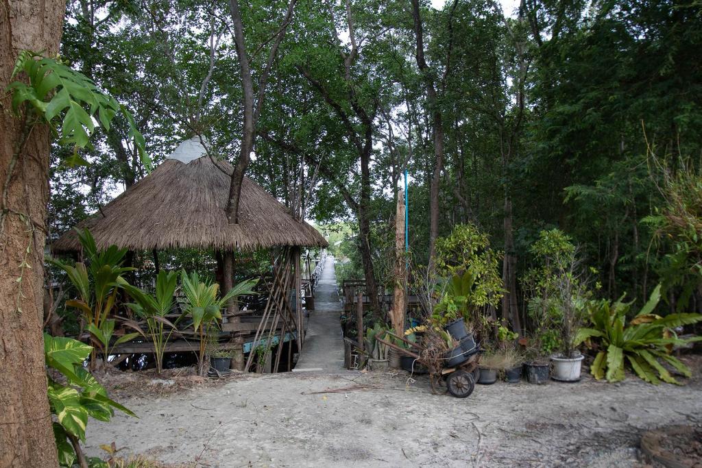 Zahrada ubytování Mango tree อ่าวมะขามป้อม