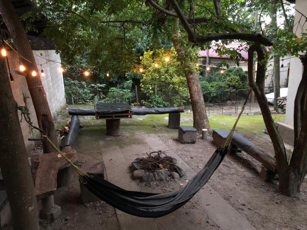 Zahrada ubytování Hostal Juan Lindo