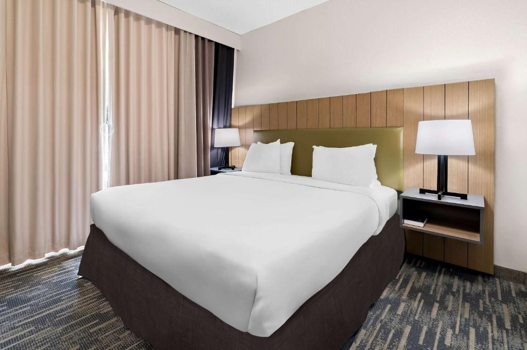 Country Inn & Suites by Radisson, Columbia Airport, SC - 1ベッドルーム キングスイート 禁煙