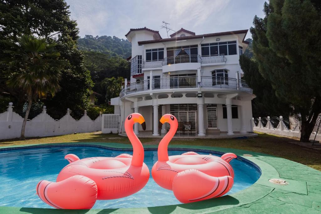 Bazén v ubytování Villa55 w Private swimming pool BBQ Pool table 25pax nebo v jeho okolí