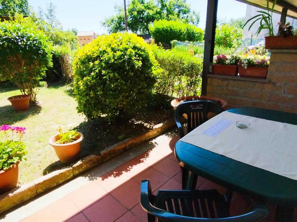 Zahrada ubytování Rasna Heart Guest House