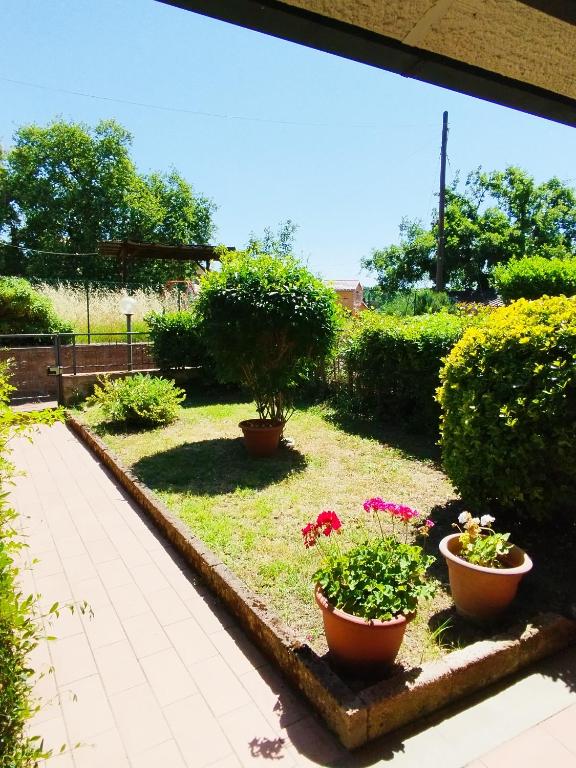 Zahrada ubytování Rasna Heart Guest House
