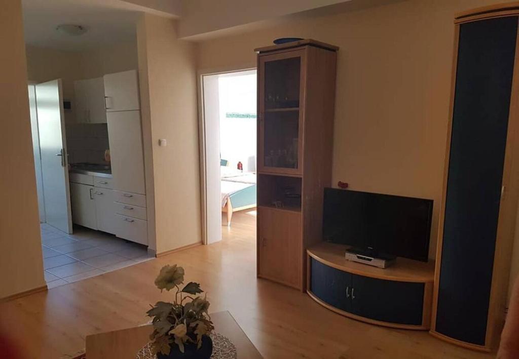 TV a/nebo společenská místnost v ubytování Apartments JaVi