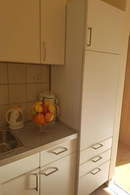 Kuchyň nebo kuchyňský kout v ubytování Apartments JaVi