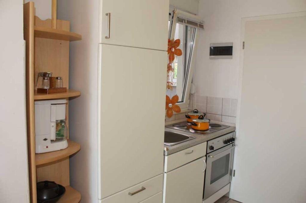 Kuchyň nebo kuchyňský kout v ubytování Apartments JaVi
