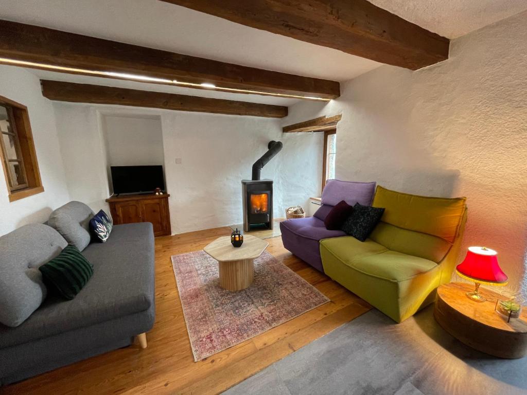 La Majorie de Nendaz - Resim 1