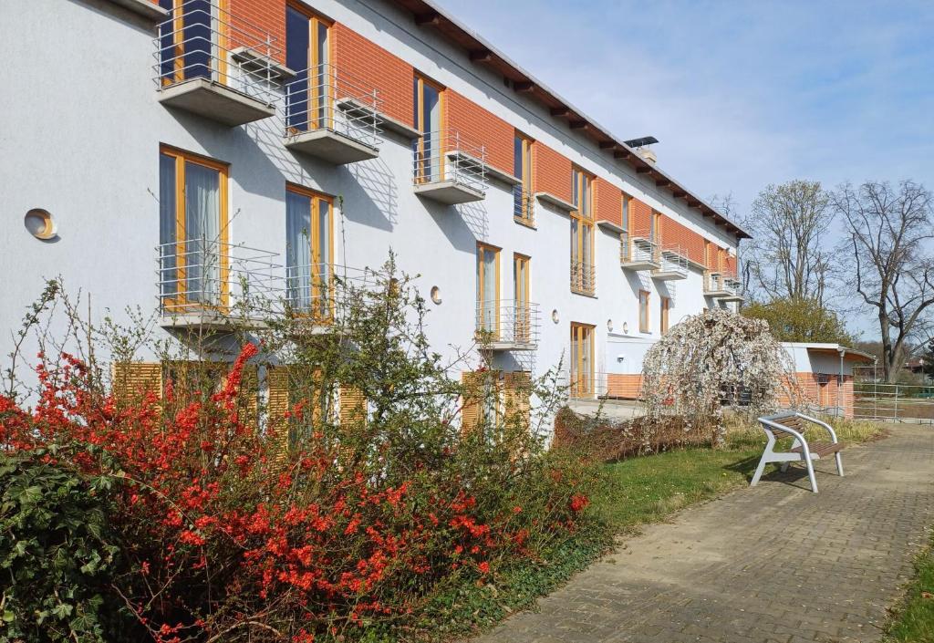 Centrum Mariapoli - Resim 22