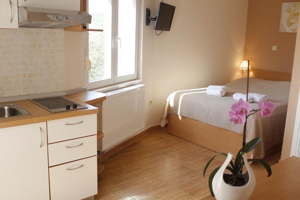 Kuchnia lub aneks kuchenny w obiekcie Apartments Old Stone: