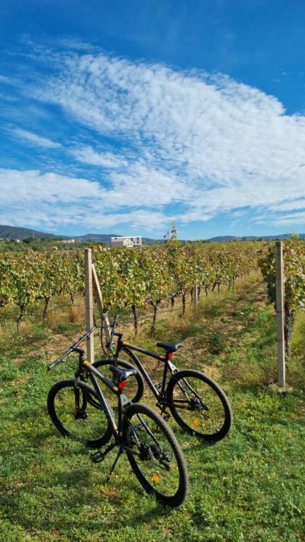 Jízda na kole v ubytování Hotel Emporia Mostar nebo okolí