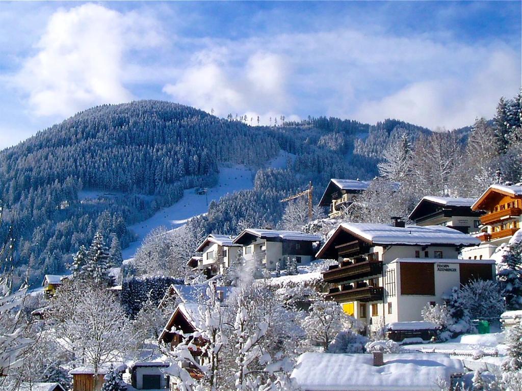 a snow covered village with a mountain in the background at Haus Altenberger by we rent in Zell am See