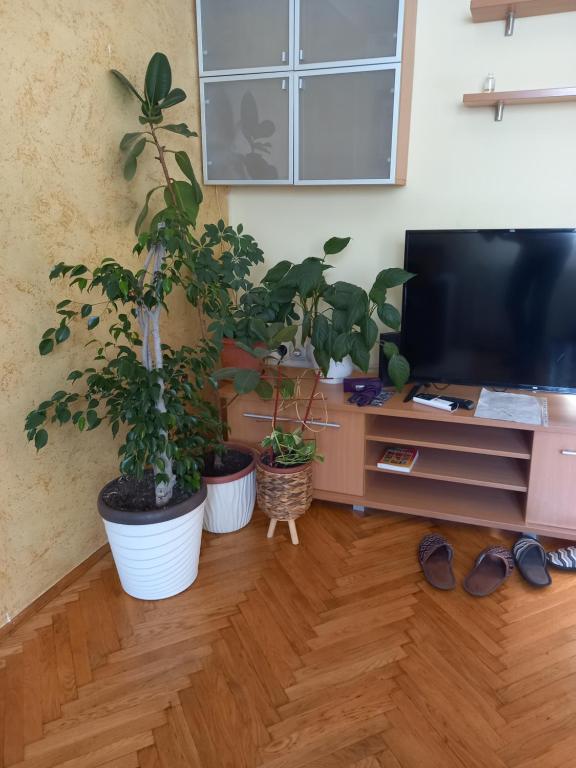 LEDA Apartmani - 