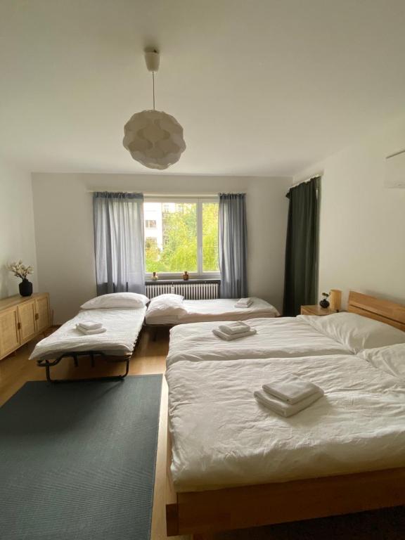 a bedroom with three beds and a window at Gemütliche Wohnung Nähe Uni in Basel