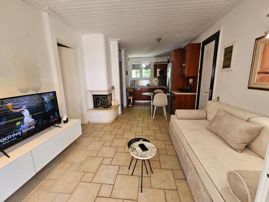 TV a/nebo společenská místnost v ubytování Corfu Dream Holidays Villas