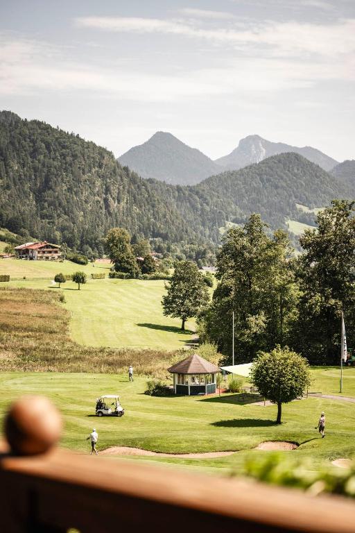 Príroda v okolí hotela